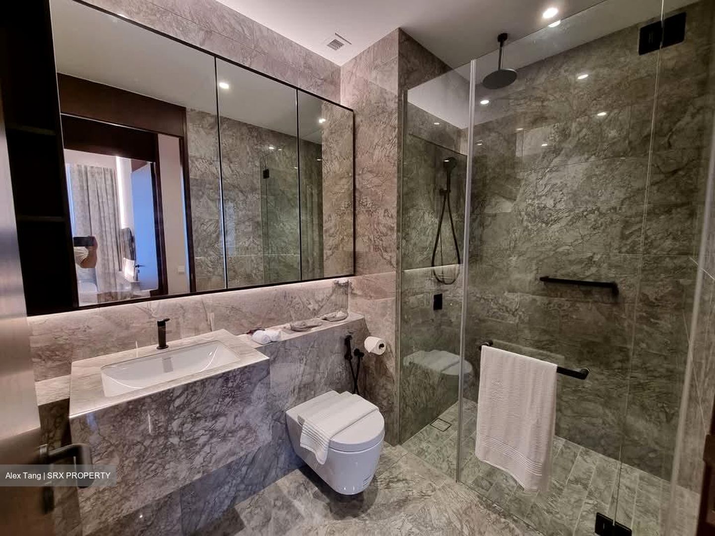 Jervois Privé (D10), Apartment #578828021